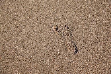  真流量密码了！《恋爱！小姐姐都超甜》上架Steam